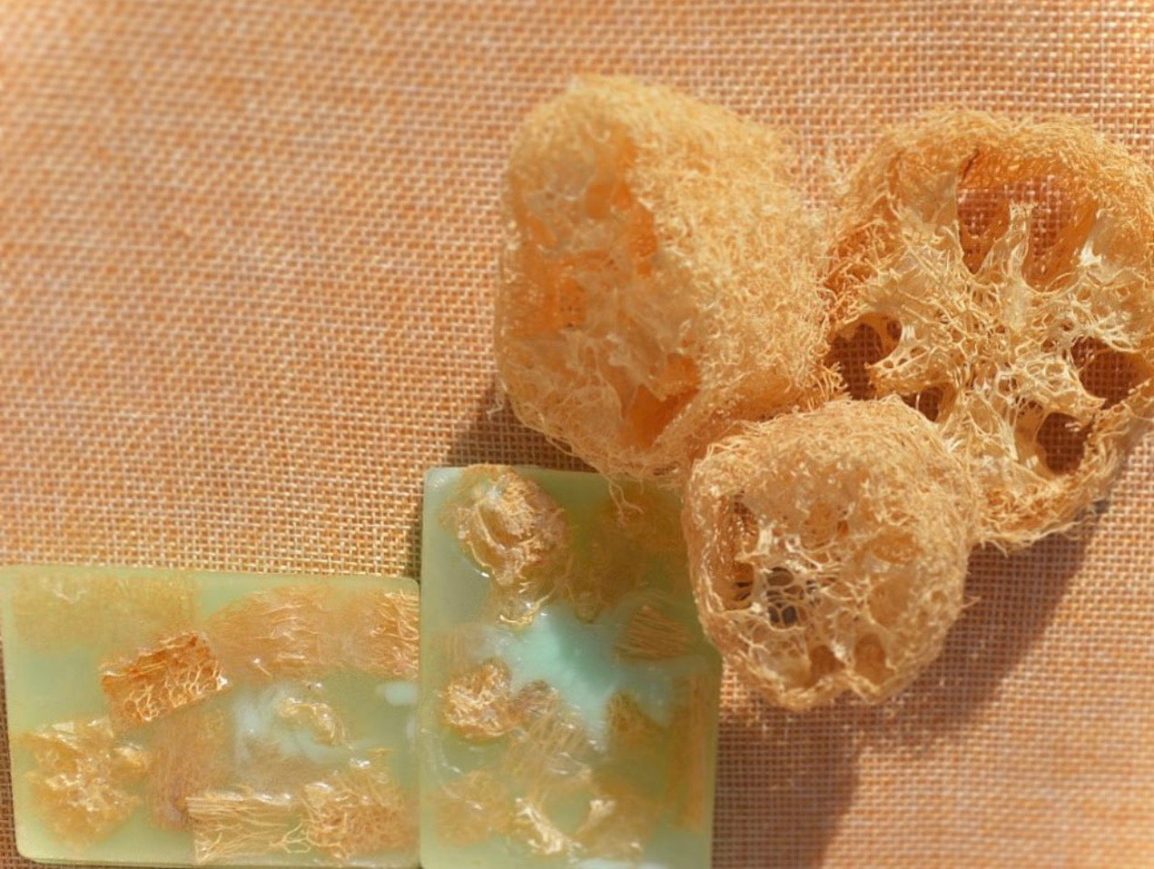 Loofah Sabun