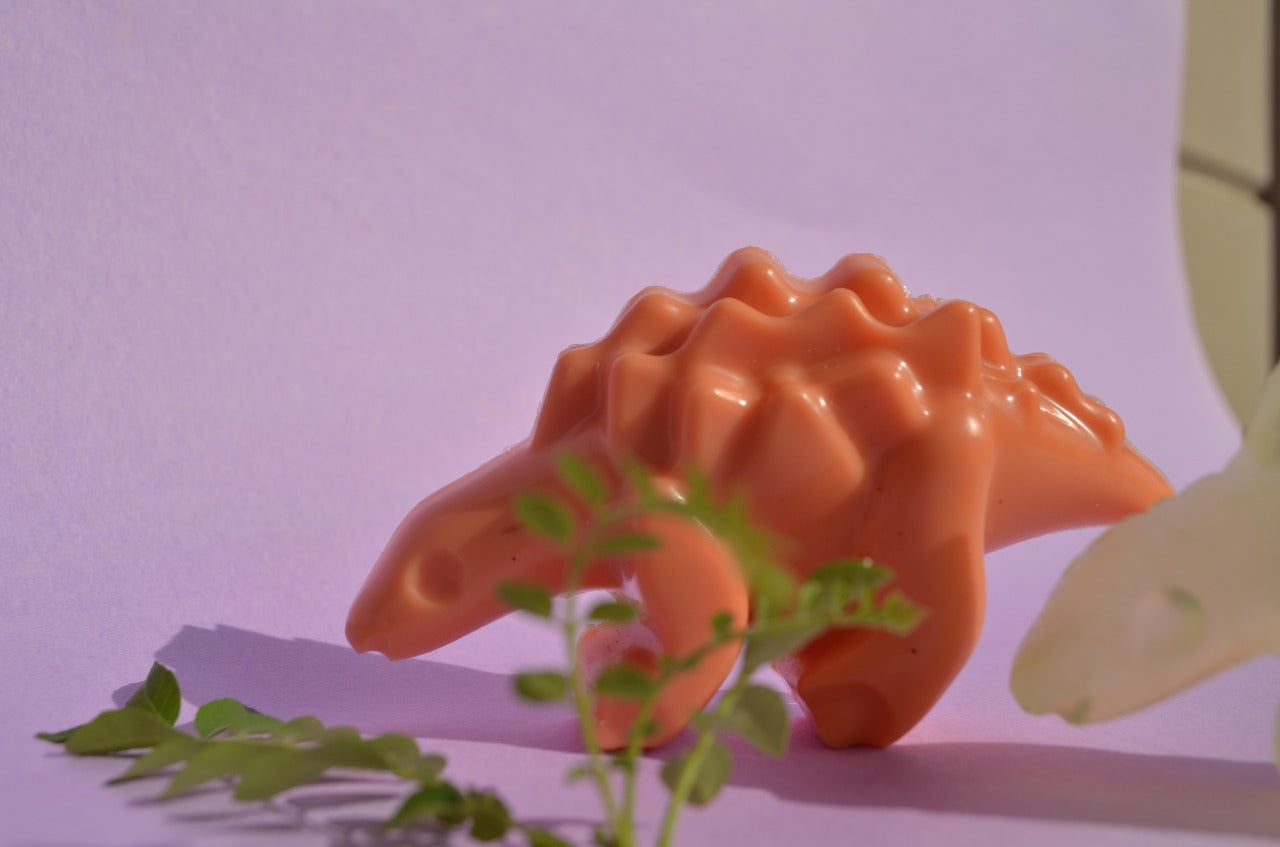 Dino Soap